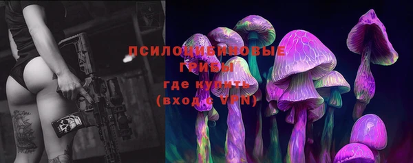 МДПВ Алзамай