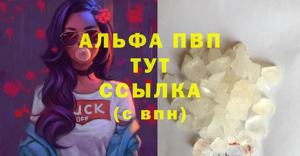 винт Алексин