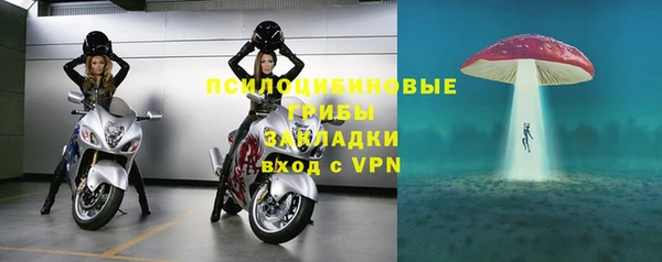 эйфоретик Алексеевка