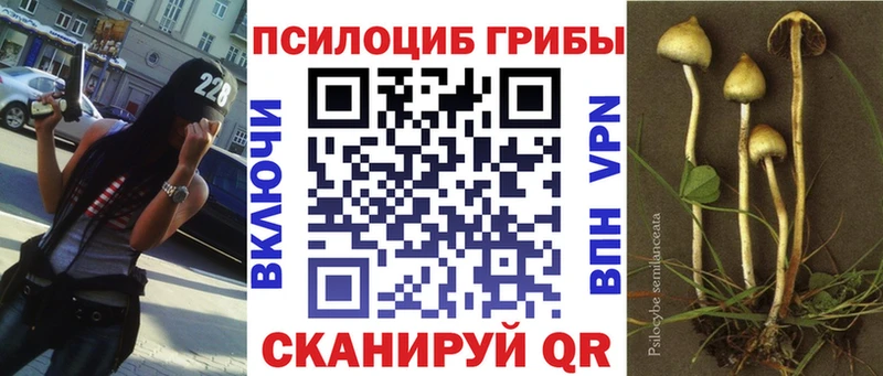 Псилоцибиновые грибы прущие грибы  Нурлат 