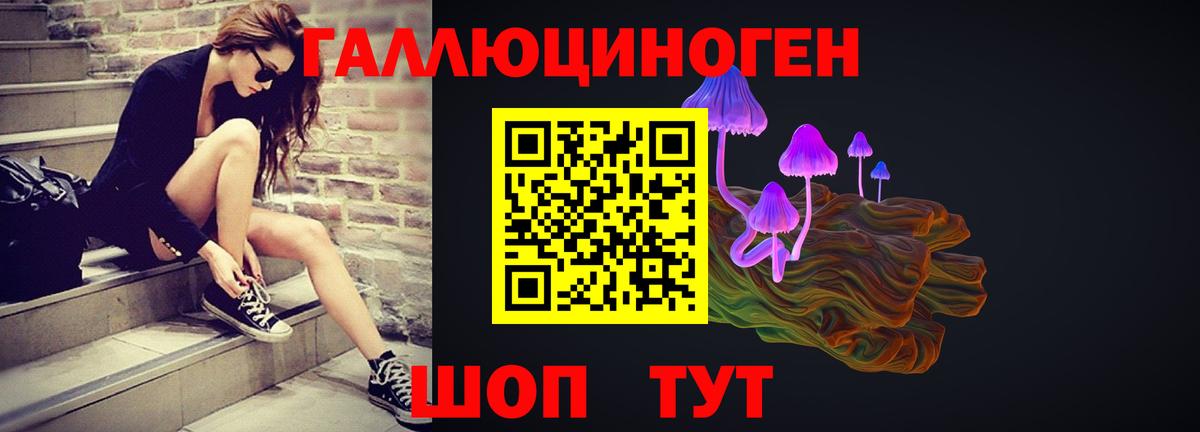 Псилоцибиновые грибы Psilocybe  Вход с VPN  Нурлат  цена наркотик  Галлюциногенные грибы прущие грибы 